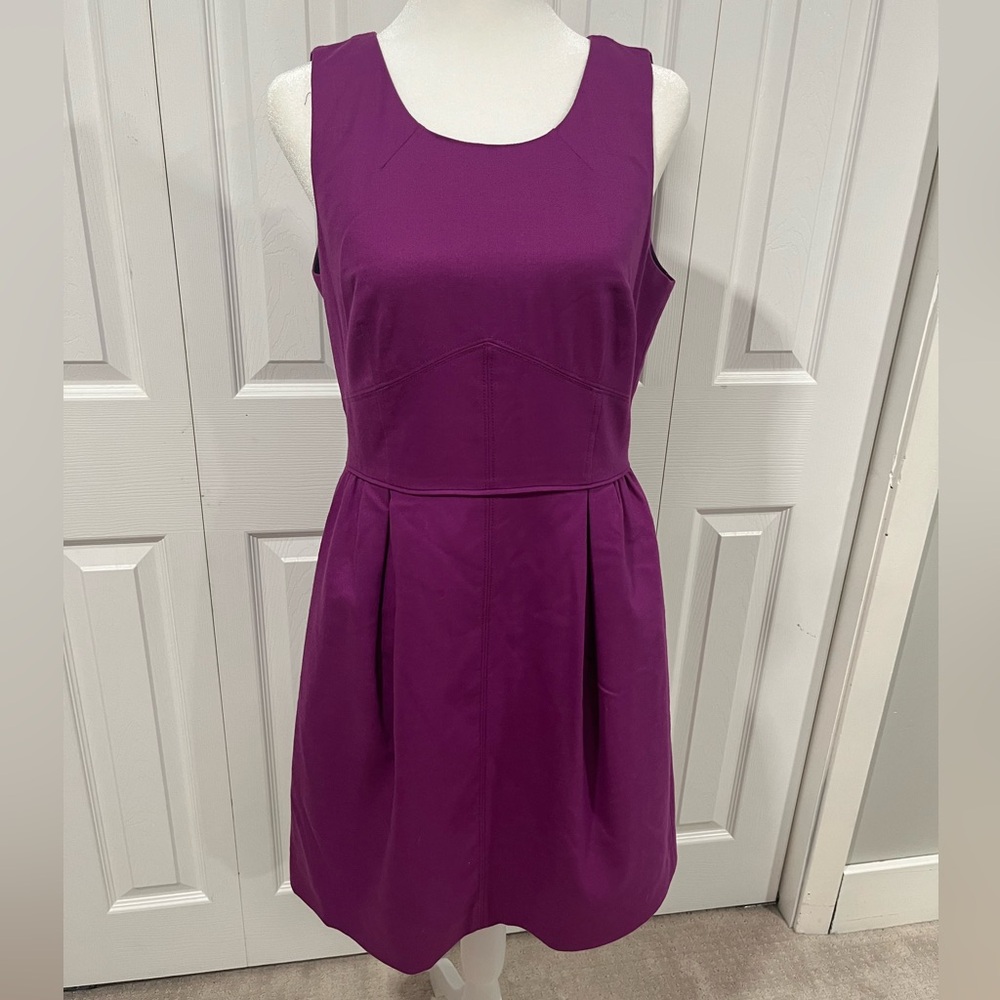 Purple JCrew dress